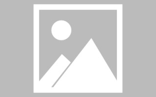 鄄城免费素材网站排名（免费好用的素材网大全）